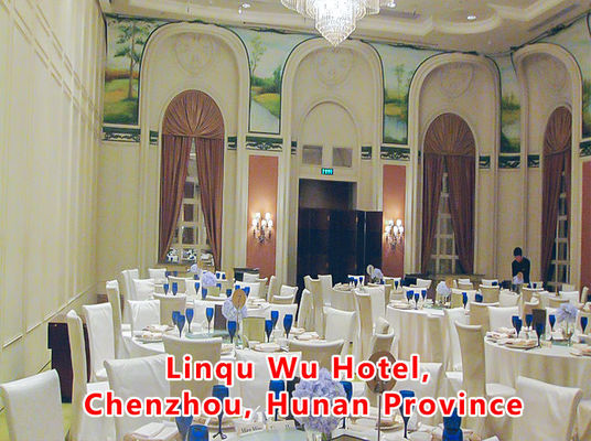 Un buen precio. Aluminum Wooden Movable Partition Wall with 304 Stainless Steel Rollers and 6061-T6 Profile for Office Room en línea