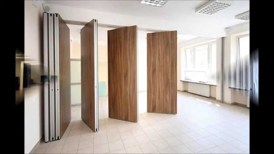 AE Barato Por mayor Decorativo Gradualmente Plegable Partisión Deslizante Paredes divisorias muebles insonorizadas